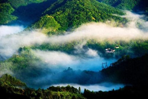 阳春旅游(阳春旅游景点)插图38