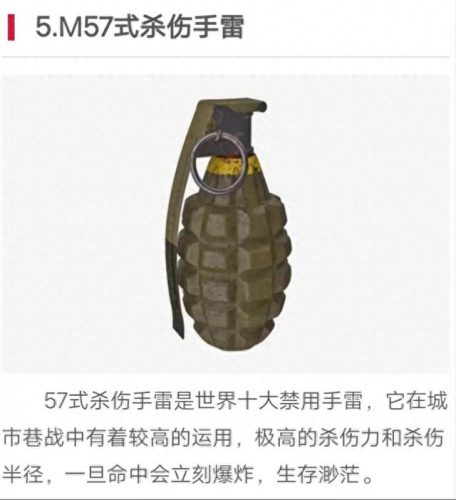 世界十大禁用手雷排行榜(十大禁用武器排行榜)插图7