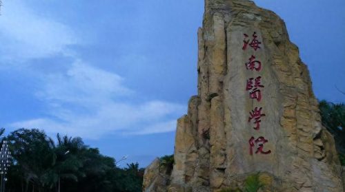 海南乡镇卫生院排名前十(最好的乡镇卫生院排名)插图