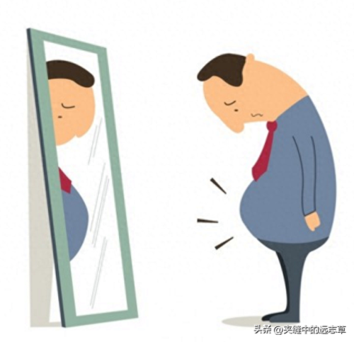 中药减脂药排名前十图片(减脂药十强排行榜)插图3 中药减脂药排名前十图片(减脂药十强排行榜)插图3