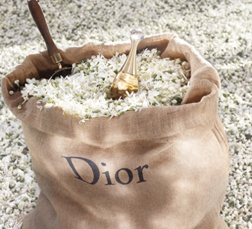 迪奥真我系列(女士香水推荐哪款好闻)插图25 迪奥真我系列(女士香水推荐哪款好闻)插图25