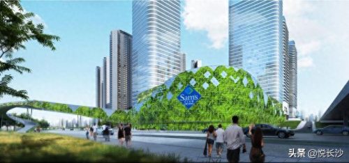 长沙小区绿地率排名前十(长沙最差楼盘排名)插图3