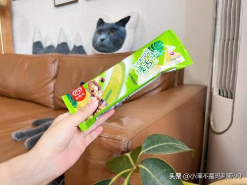 十大高价雪糕排行榜实体店(十大宝藏雪糕盘点)插图25 十大高价雪糕排行榜实体店(十大宝藏雪糕盘点)插图25