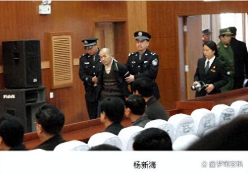 世界前十大刺客排行榜图片(关于世界著名刺客排行榜)
