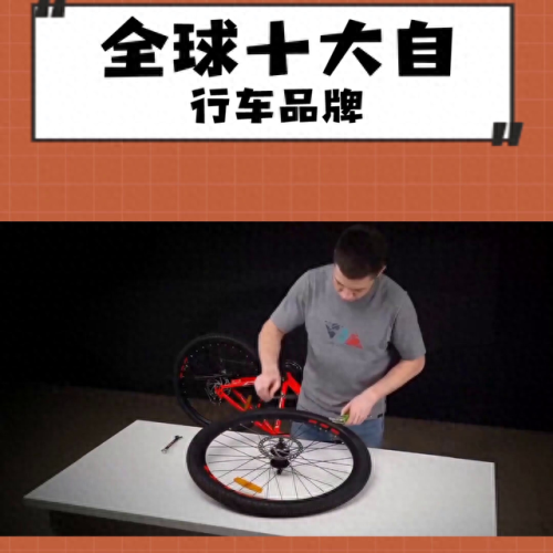 十大热门自行车排行榜品牌(十大最耐用自行车)