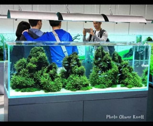 鱼缸水草灯十大品牌排行榜(鱼缸灯最佳品牌)插图6