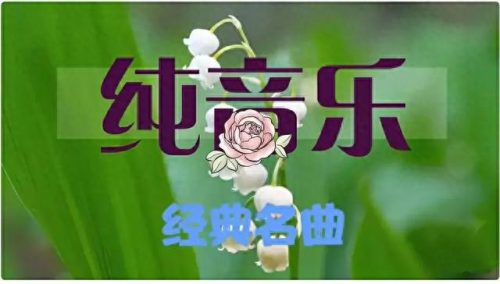 十大轻音乐笛子排行榜视频(笛子轻音乐排行榜前100首)