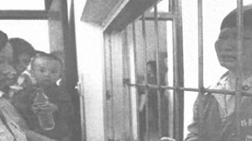 十大打拐案件排行榜图片(打拐第一案是什么)