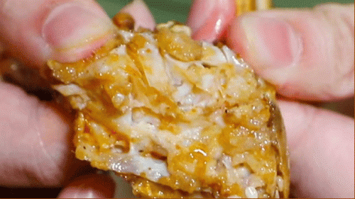 襄阳襄城卤菜十大排行榜(襄阳卤菜老字号)插图28 襄阳襄城卤菜十大排行榜(襄阳卤菜老字号)插图28