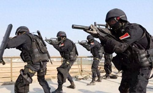 特种兵训练学校排名前十(特种兵学校动画片)