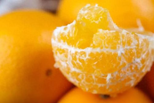 冬奥会水果排名前十(冬奥会创意水果)插图14 冬奥会水果排名前十(冬奥会创意水果)插图14