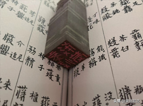 央视十大优秀纪录片排行榜(央视十部顶级纪录片)插图19