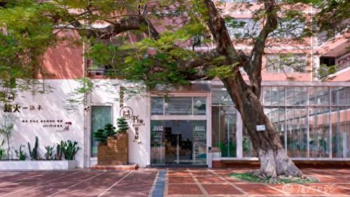 厦门体育艺考培训排名前十(体育舞蹈艺考培训前十名)插图3