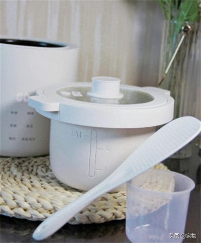 十大好用的做饭电器排行榜(德国十大电器品牌)插图11