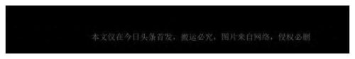 杨帆个人资料简介及(杨帆和郑宇伯谁更厉害)插图1