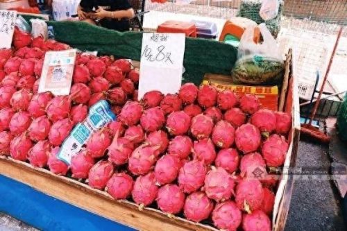 十大品牌水果排行榜前十名(十大补钙水果)插图3