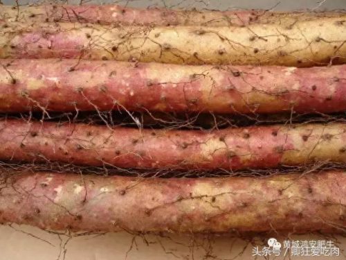 重庆无烟火锅厂家排名前十(火锅十大品牌重庆)插图13