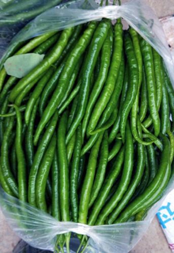 线椒种子十大排行榜(全国出名的线椒种子)插图6