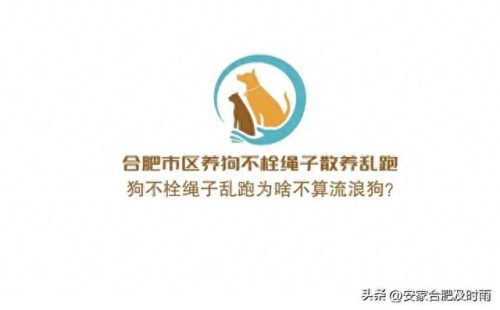 安徽房地产全国排名前十(安徽房地产推荐)插图4