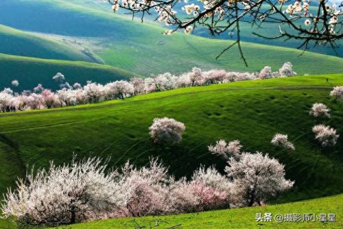 人像摄影十大城市排行榜(全国十大摄影城市)插图68 人像摄影十大城市排行榜(全国十大摄影城市)插图68