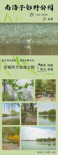 北京踏青好去处(北京的好去处)插图1