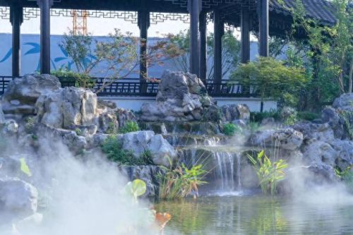 昆山小院绿植销售排名前十(昆山花桥绿植批发排名)插图8 昆山小院绿植销售排名前十(昆山花桥绿植批发排名)插图8