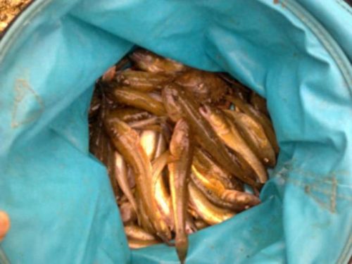 连云港钓鱼大师排名前十(侯德胜钓鱼大师)插图11 连云港钓鱼大师排名前十(侯德胜钓鱼大师)插图11