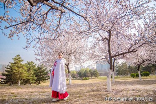 西安十大不坑景点排行榜(西安必打卡十大网红)插图70