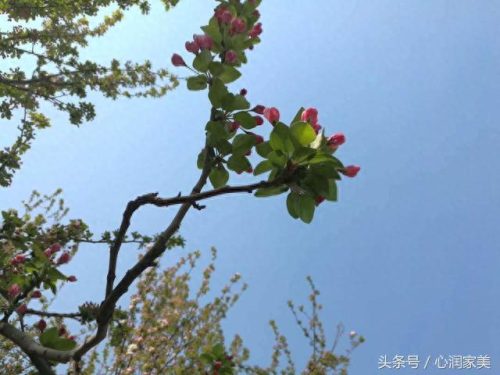 海淀人际交往咨询排名前十(海淀人际交往咨询服务)插图23