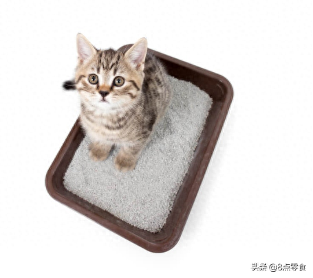 中国十大猫砂品牌排行榜(十大口碑最好的猫砂)插图 中国十大猫砂品牌排行榜(十大口碑最好的猫砂)插图