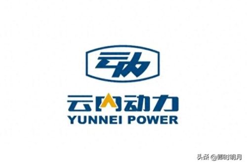 云南省排名前十的私家企业(云南前十公司排名)插图7