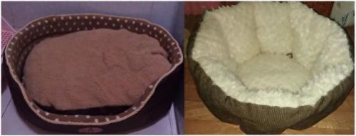 中国猫窝垫十大品牌排行榜(中国猫窝垫十大品牌)插图2 中国猫窝垫十大品牌排行榜(中国猫窝垫十大品牌)插图2