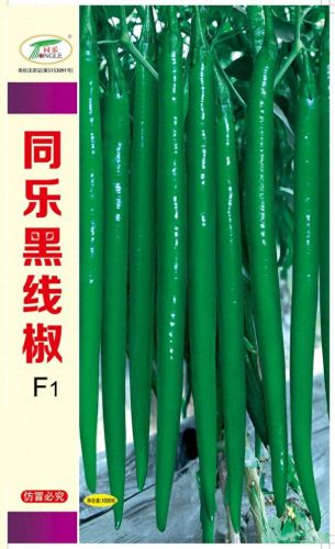 线椒种子十大排行榜(全国出名的线椒种子)插图