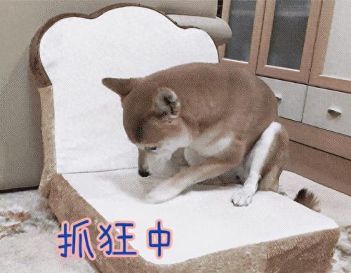 防晒霜十大骗局排行榜西安(十大骗局直销名单)插图