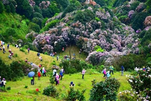 阳春旅游(阳春旅游景点)插图32