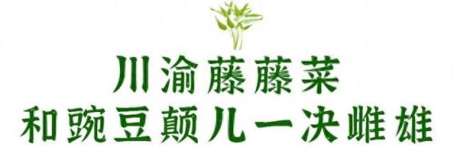 十大不见光蔬菜排行榜图(十大回奶蔬菜排名表)插图23