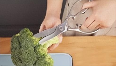 厨房剪刀十大排行榜(厨房剪刀第一名)插图3 厨房剪刀十大排行榜(厨房剪刀第一名)插图3