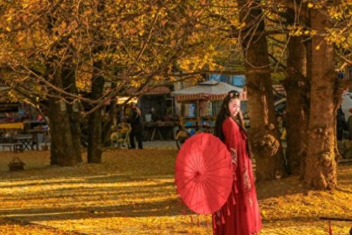 云南文旅行业排名前十(云南文旅厅最新消息)插图2 云南文旅行业排名前十(云南文旅厅最新消息)插图2