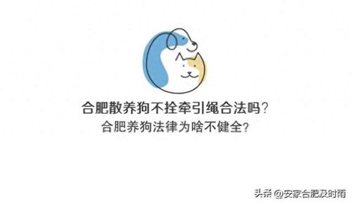 安徽房地产全国排名前十(安徽房地产推荐)