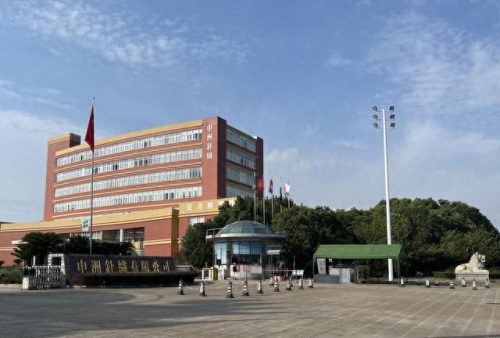 越南大型服装工厂排名前十(越南服装工厂现状2023)