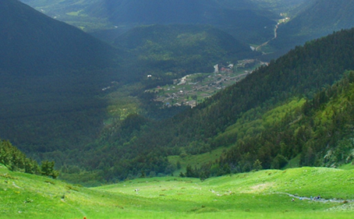 柬埔寨泰牛(六足巨人)插图 柬埔寨泰牛(六足巨人)插图