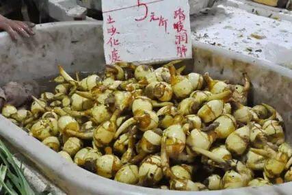 南通最大农贸市场排名前十(南通人气农贸市场)插图5