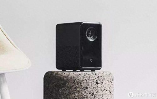 十大正规机排行榜最新(正规十大名牌割草机)插图21