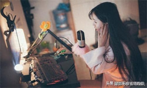 电脑没声卡品牌排行榜十大(哪个品牌声卡修音好)插图 电脑没声卡品牌排行榜十大(哪个品牌声卡修音好)插图