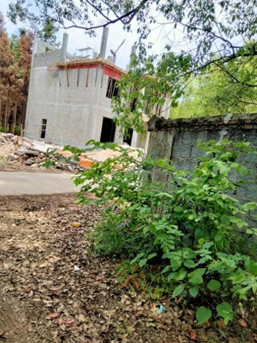 西藏农村自建房排名前十(西藏农村自建房阳光房汇总)插图 西藏农村自建房排名前十(西藏农村自建房阳光房汇总)插图