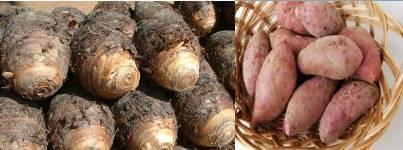 南通最大农贸市场排名前十(南通人气农贸市场)插图9