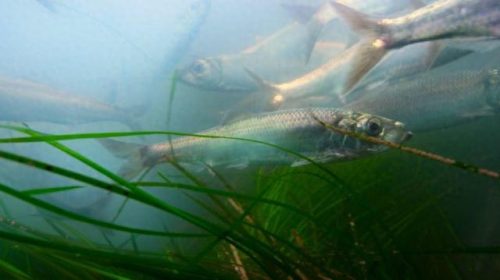 世界十大神剧经典排行榜(全球十大新剧排行榜)插图21 世界十大神剧经典排行榜(全球十大新剧排行榜)插图21