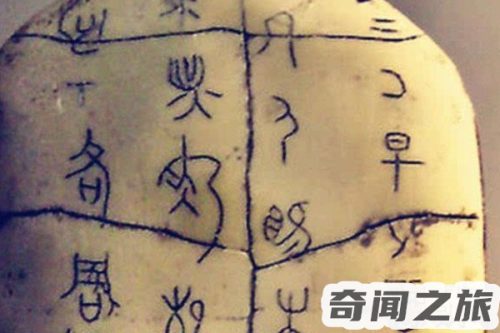 卯字来历争议很大(八字中卯字代表什么)