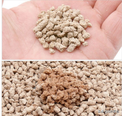 中国十大猫砂品牌排行榜(十大口碑最好的猫砂)插图5 中国十大猫砂品牌排行榜(十大口碑最好的猫砂)插图5