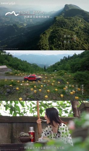 十大最感人的田园剧排行榜(十大好剧排行榜)